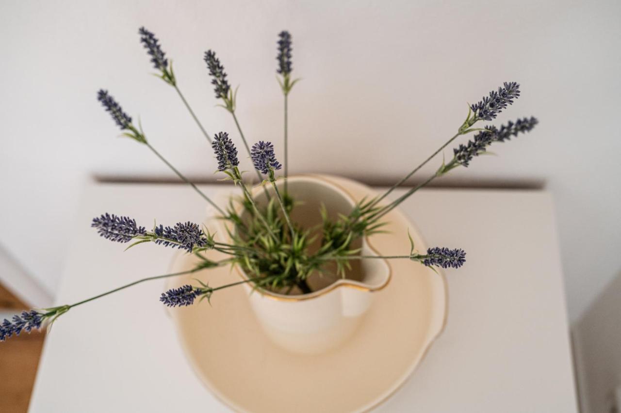 Fewo Im Alten Fachwerkhaus บาดบูเคา ภายนอก รูปภาพ